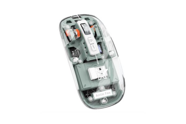 Transparent Mouse review