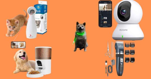 coolest pet gadgets for dogs