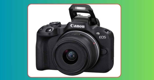 Best Budget Mirrorless Cameras